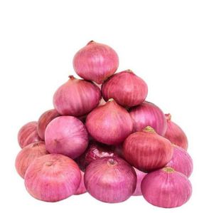 Onion / Dungri - Medium